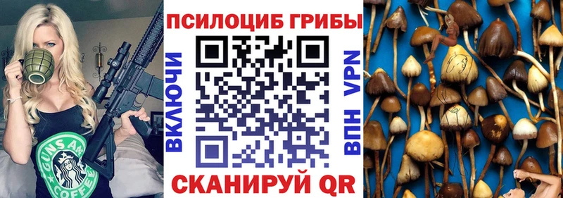 Галлюциногенные грибы Cubensis  Елизаветинская 